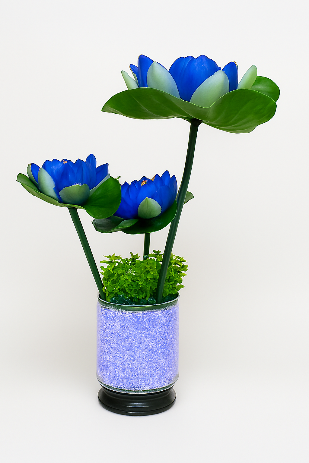 LumiLotus Collections 2