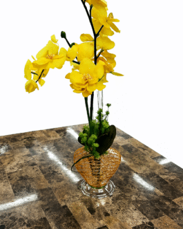 Room Decoration
