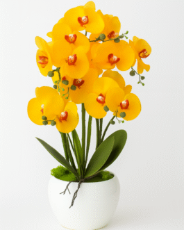 Golden Radiance – Orchid Luxe Arrangement